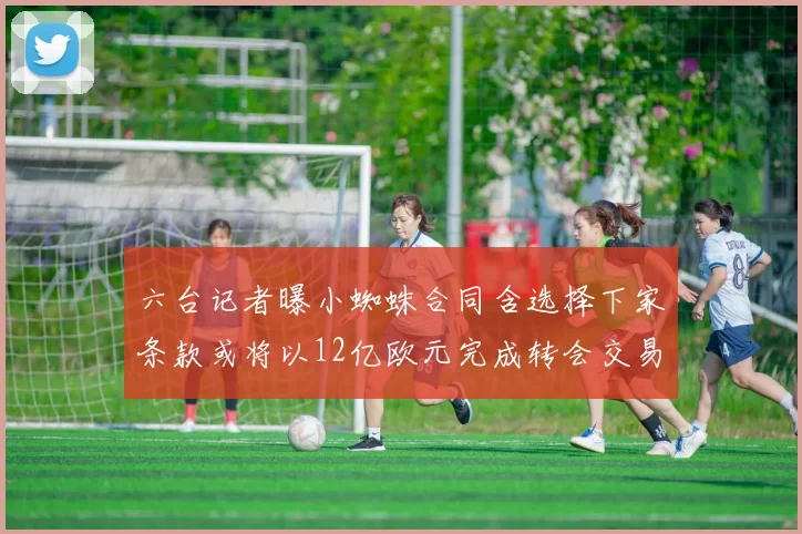 六台记者曝小蜘蛛合同含选择下家条款或将以12亿欧元完成转会交易